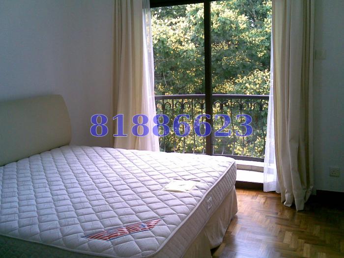 Tanglin Park (D10), Condominium #63290892